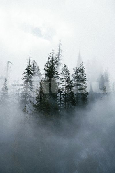 Big with watermark image