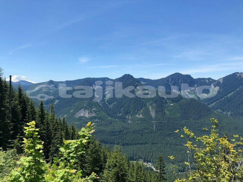Big with watermark image