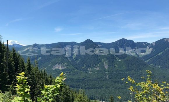 Medium with watermark image