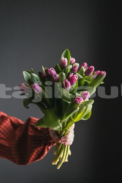 Big with watermark image