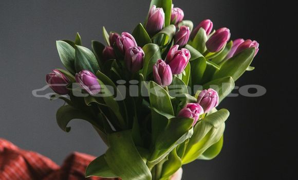 Medium with watermark image