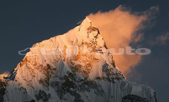 Medium with watermark image