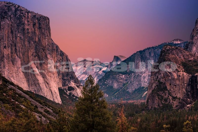 Big with watermark image