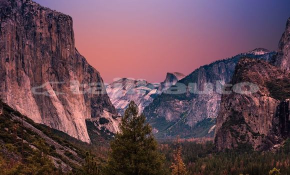 Medium with watermark image