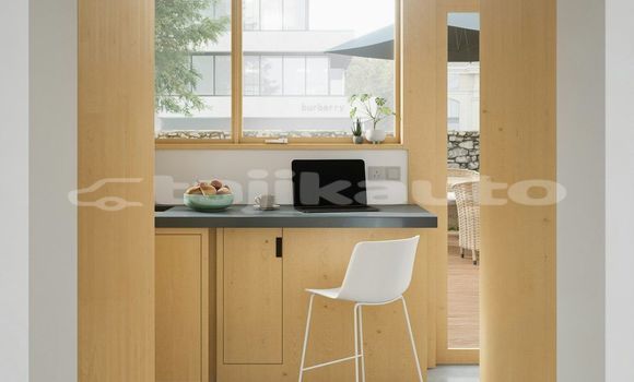 Medium with watermark image