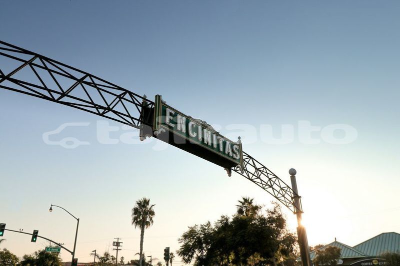 Big with watermark image