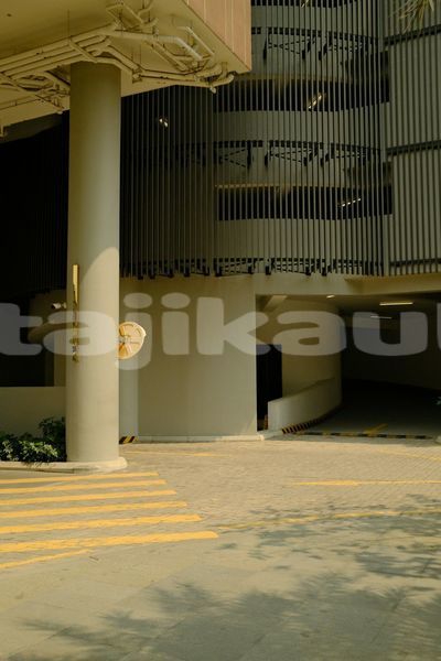 Big with watermark image
