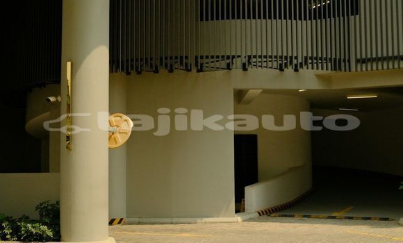 Medium with watermark image