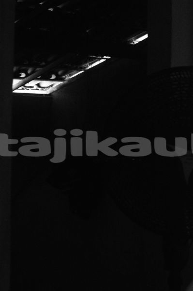 Big with watermark image