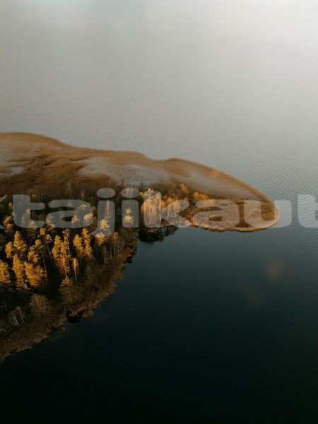 Big with watermark image