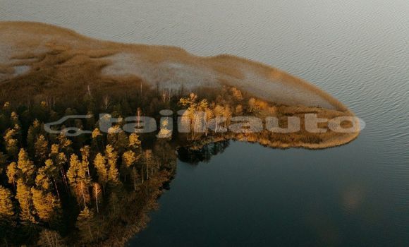 Medium with watermark image