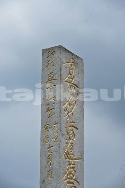 Big with watermark image