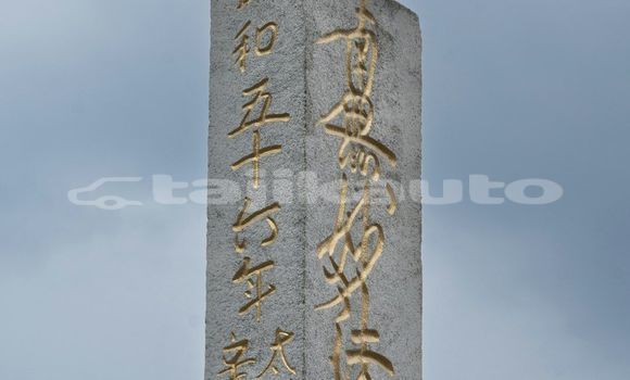 Medium with watermark image
