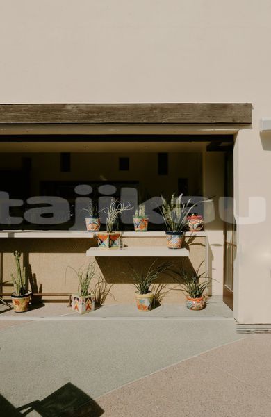 Big with watermark image
