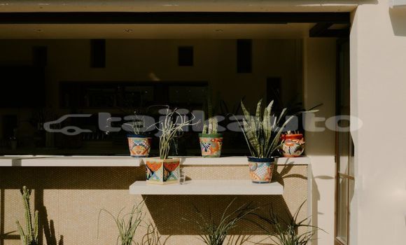 Medium with watermark image