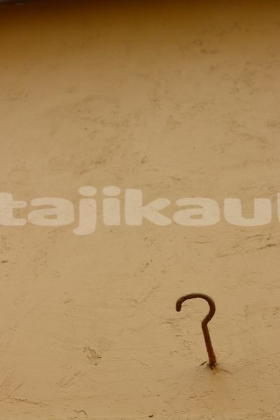 Big with watermark image