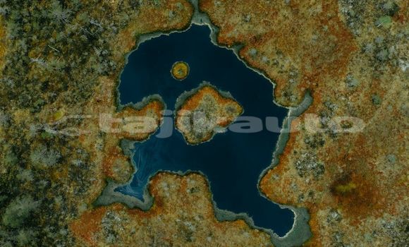 Medium with watermark image