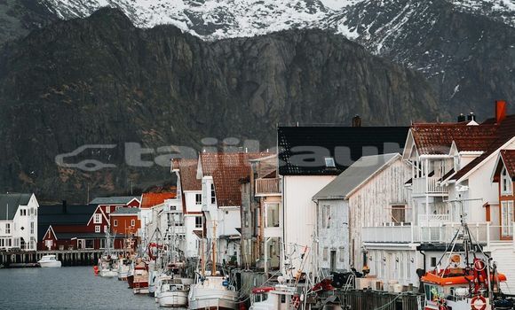 Medium with watermark image