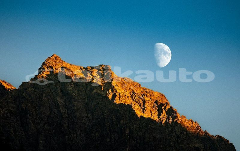 Big with watermark image