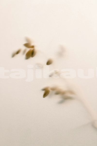 Big with watermark image