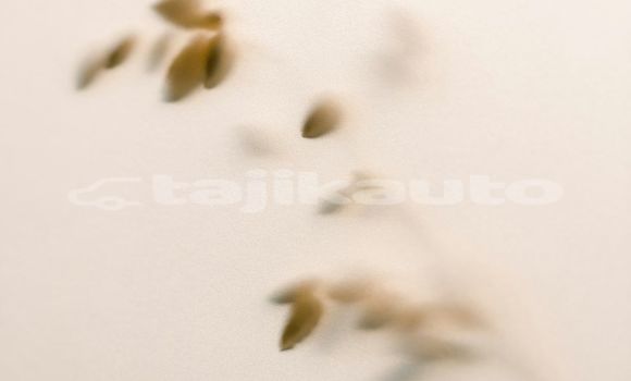 Medium with watermark image