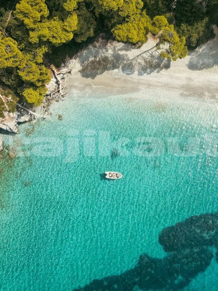 Big with watermark image
