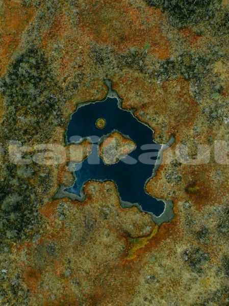 Big with watermark image