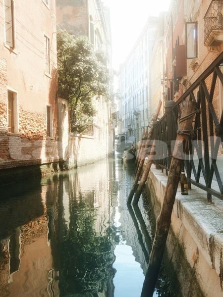 Big with watermark image