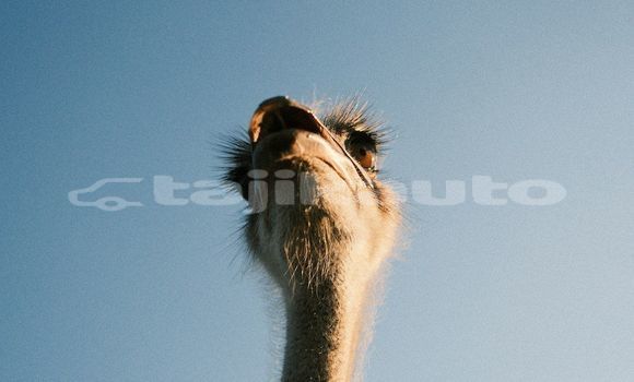 jstyedq1mohp6