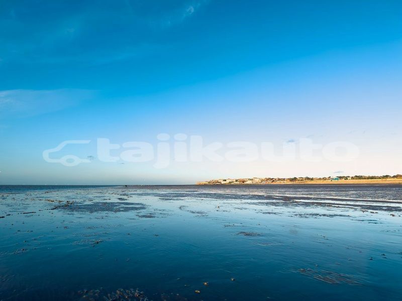 Big with watermark image
