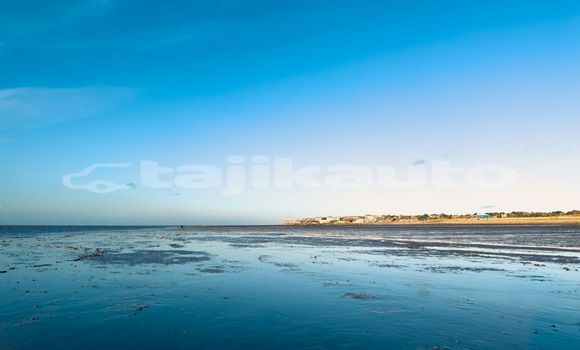 Medium with watermark image