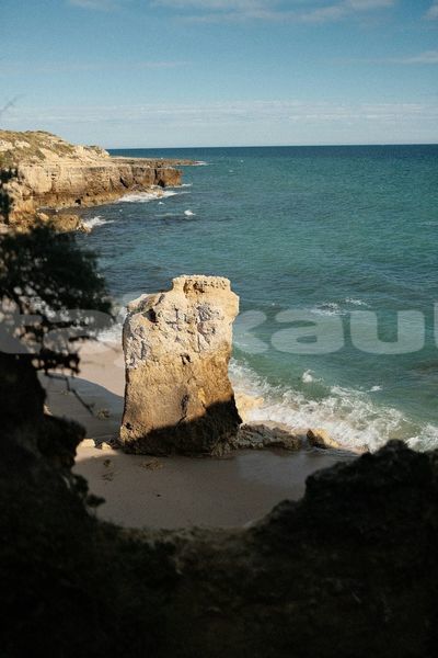 Big with watermark image