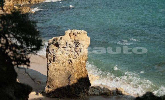 Medium with watermark image