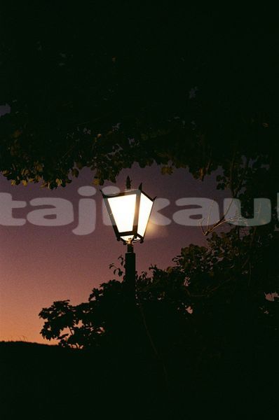 Big with watermark image