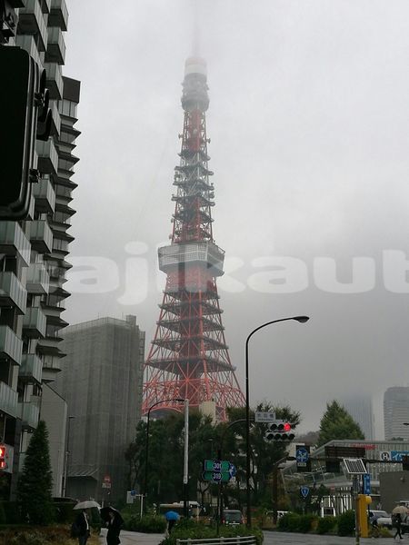 Big with watermark image