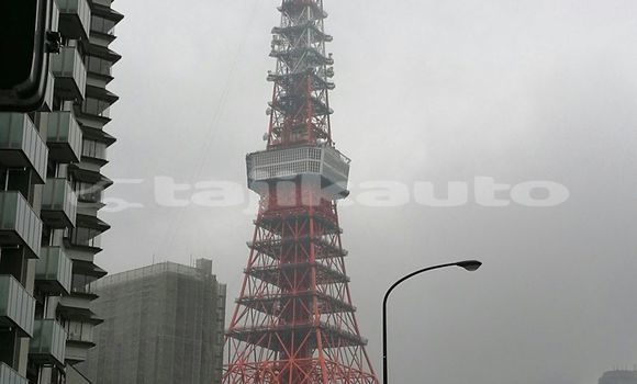 Medium with watermark image