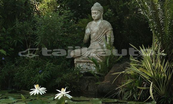 Medium with watermark image