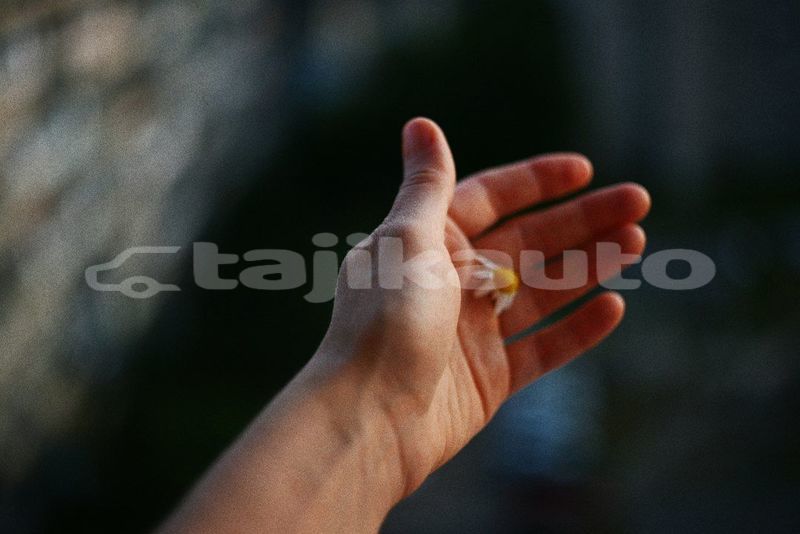 Big with watermark image