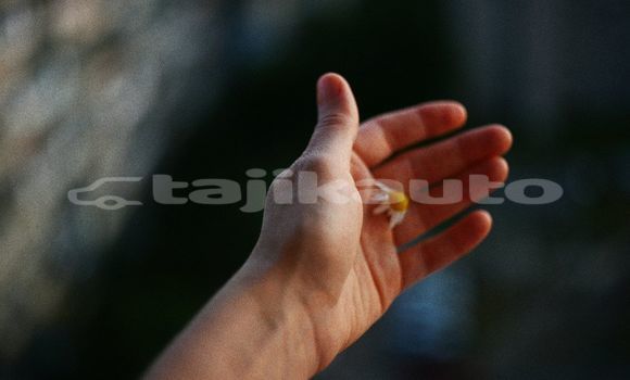 Medium with watermark image