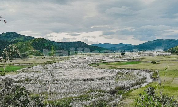 Medium with watermark image