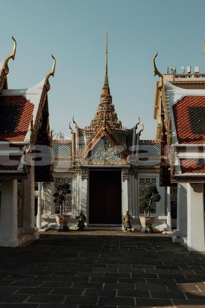 Big with watermark image