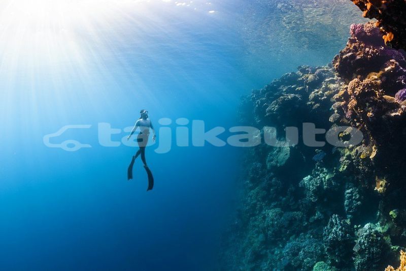 Big with watermark image