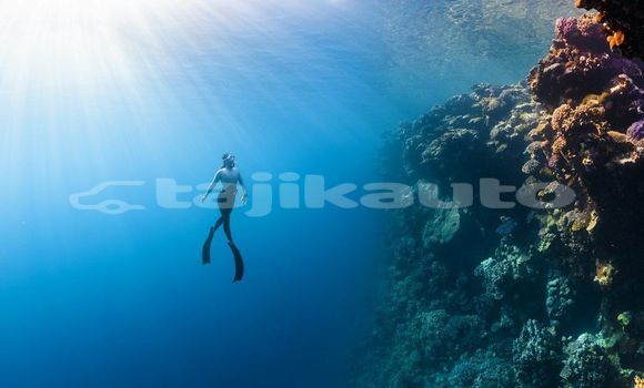 Medium with watermark image
