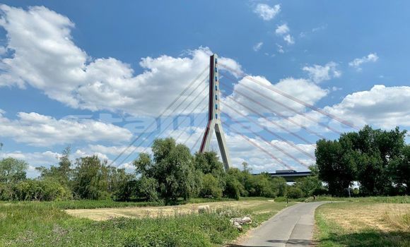 Medium with watermark image