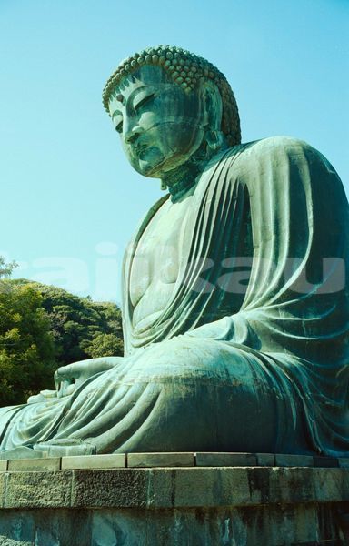 Big with watermark image