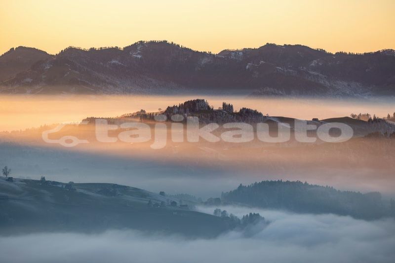 Big with watermark image