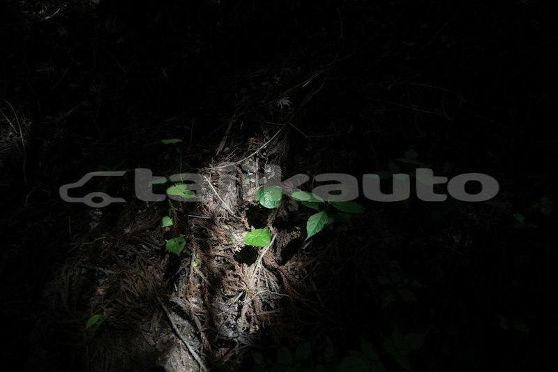 Big with watermark image