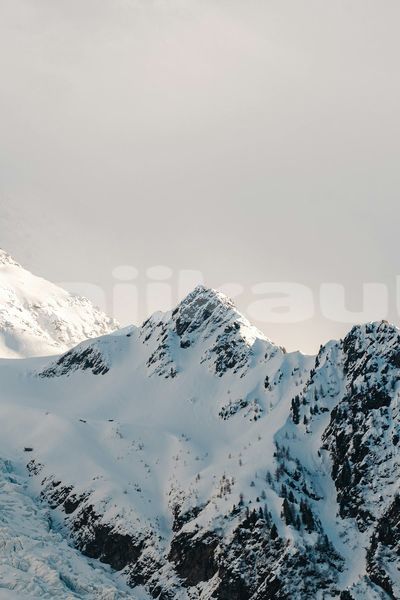 Big with watermark image