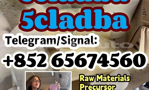 Medium with watermark fbsdgjnmygukliuo