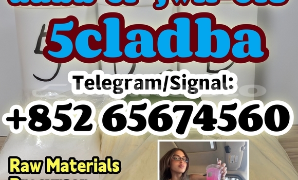 Medium with watermark adgdsfhfhnfgjhgu